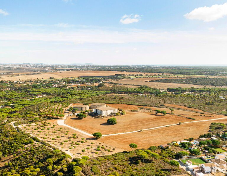 aerial-view-rural-landscape-crops-field_23-2148346099